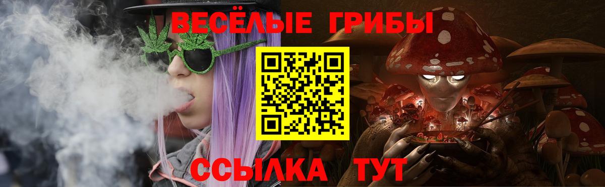 Псилоцибиновые грибы Psilocybine cubensis  Галлюциногенные грибы Magic Shrooms  Кунгур  Вход с VPN 